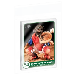 Ultra PRO Card Displays & Storage Resealable Team Bags (100ct) For Card Sets